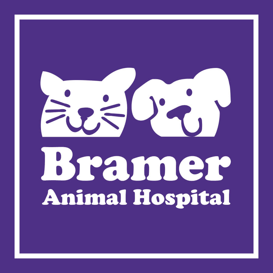 Bramer Animal Hospital - Evanston, IL Veterinary Clinic